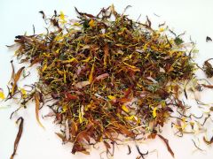 Chrizantema stambiažiedė