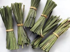 Citrinžolė tikroji