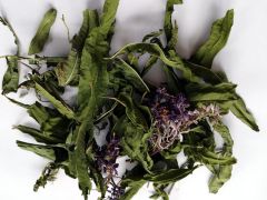 Gauromečio lapai ir žiedai