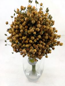 Sausų augalų puokštė "Jaukumas"