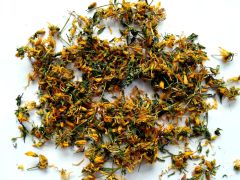 Jonažolė paprastoji