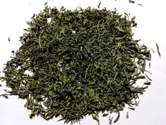 Juozažolė vaistinė