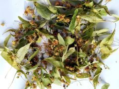 Liepų žiedai liepžiedžiai