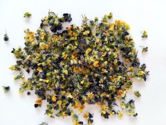 Našlaitė trispalvė