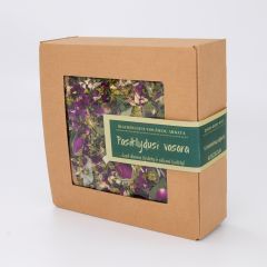 Žolelių arbata dovanų pakuotėje Pasiklydusi vasara