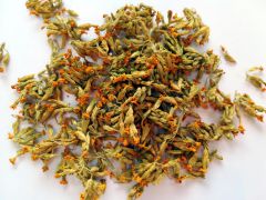 Raktažolė pavasarinė