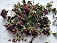 Raudonėlis paprastasis