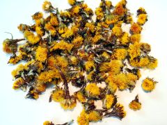 Šalpusnis ankstyvasis