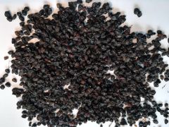 Šeivamedis juodauogis (uogos)