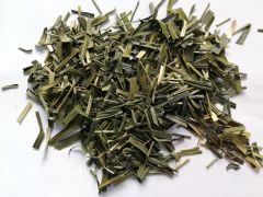 Stumbražolė kvapioji