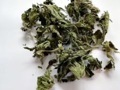 Sukatžolė penkiaskiautė